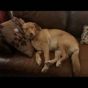 Meet your Posher, Greg